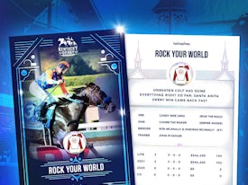 Kentucky Derby Trading Cards 2021 - Rock Your World