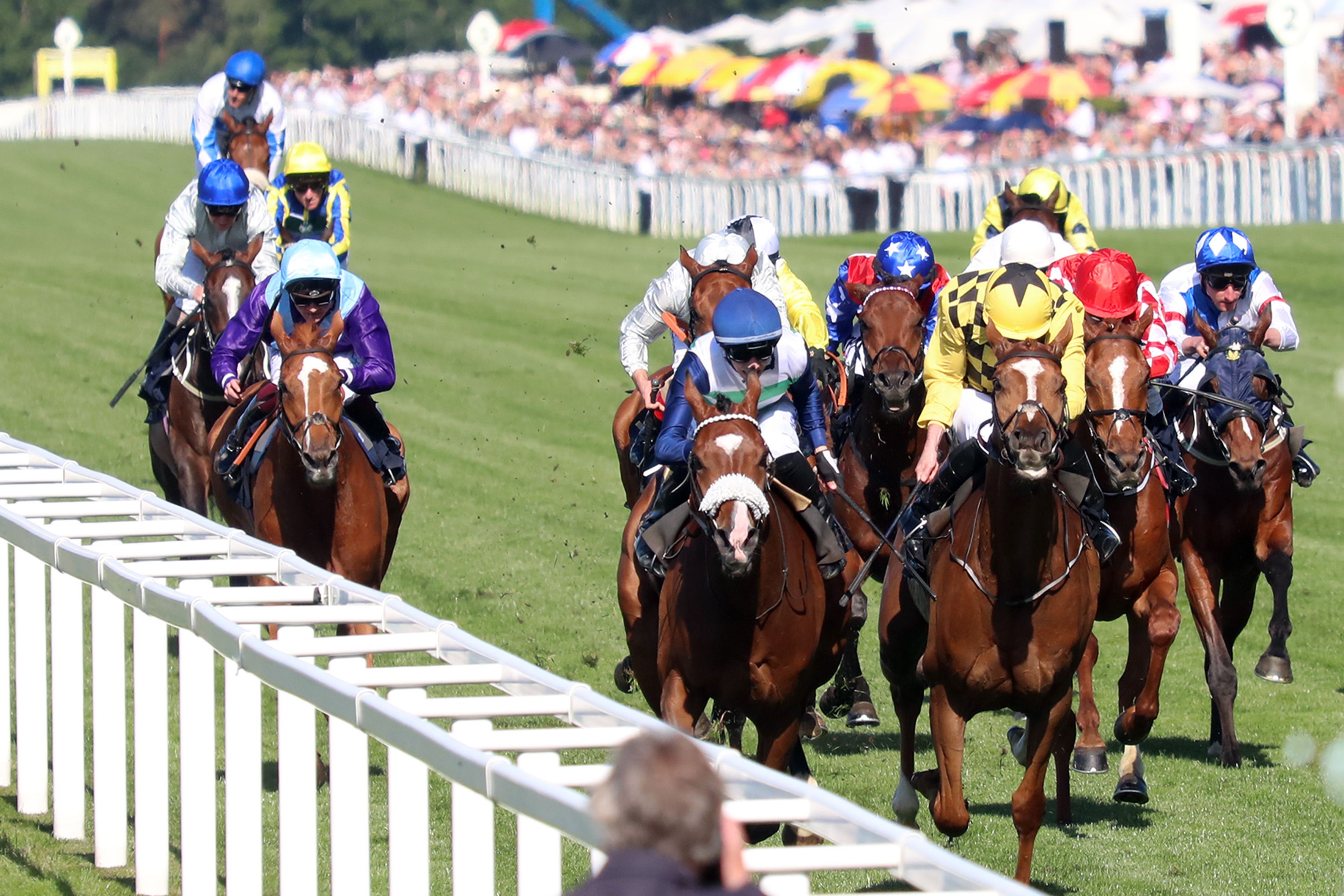 2022 Royal Ascot: Selections For Friday | The TwinSpires Edge