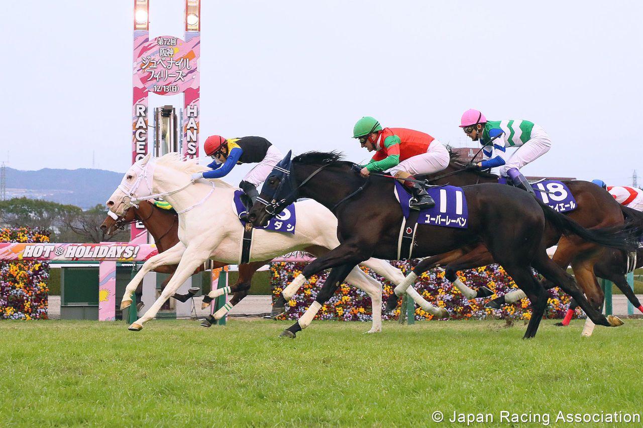 japan world cup 3 horse racing