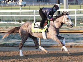 Tapit Trice trains at Churchill Downs 2023