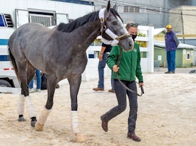 Unbridled Honor arrives at Pimlico for Preakness Stakes 2021