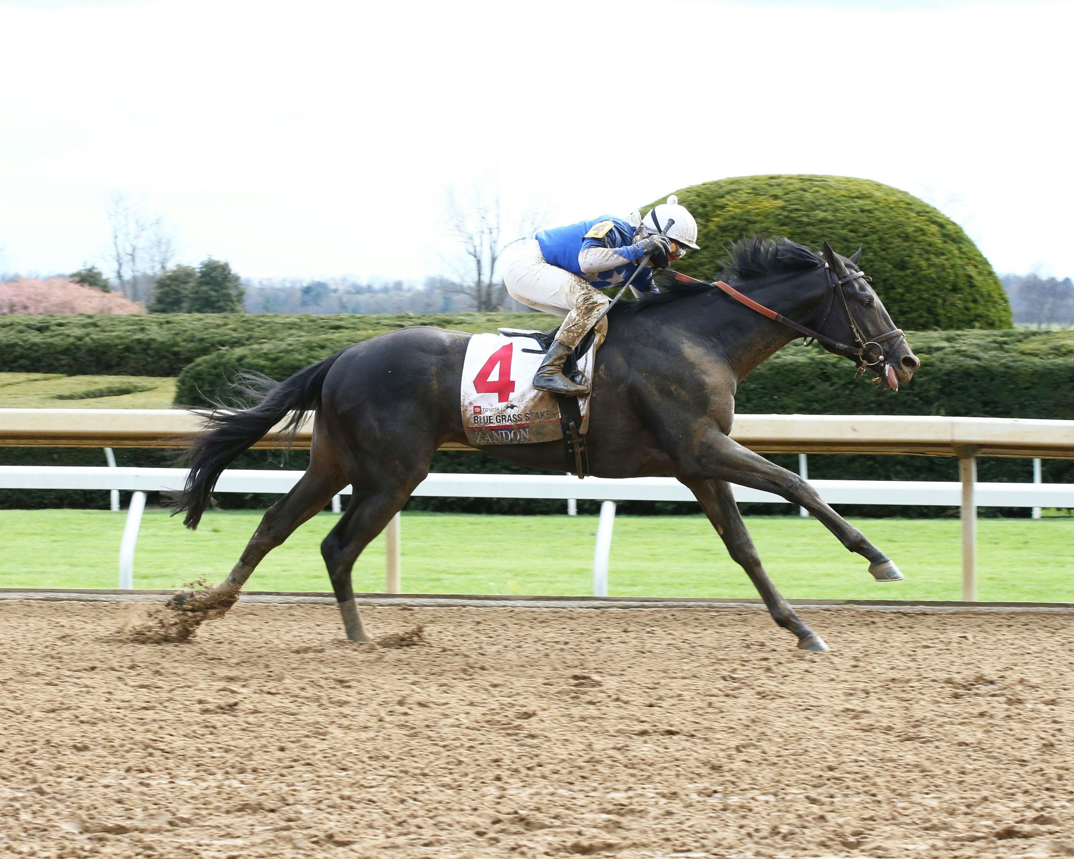 Tri State Greyhound Race Replays 93 - 70vet76