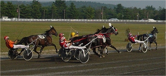 Harness Racing Handicapping Tips Wagering