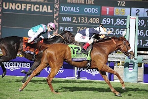 Horse-Main_Sequence-88174-636x424