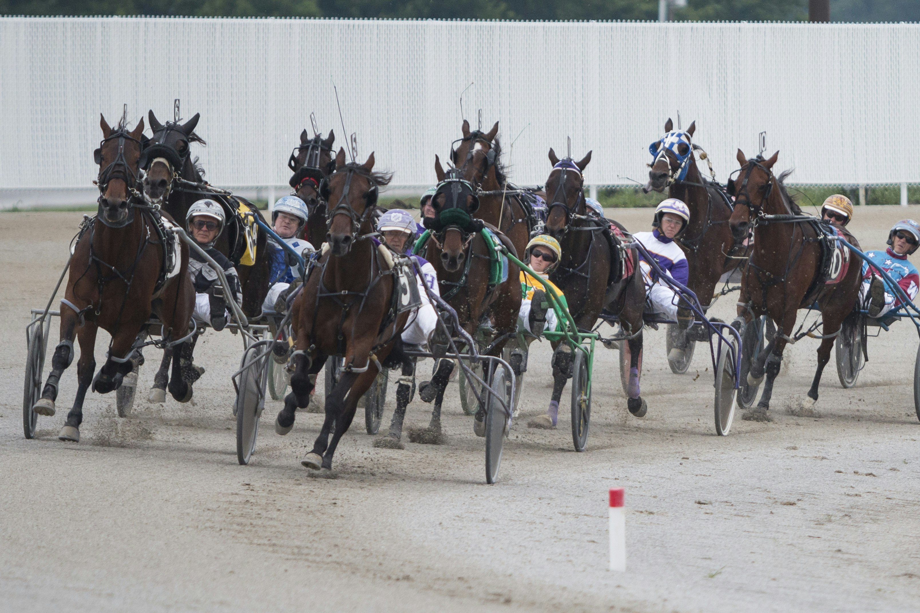 Northfield Park Racing Results - ndvniwi