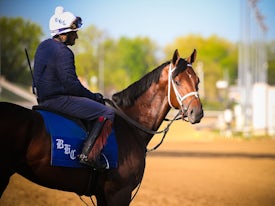 Angel of Empire trains towards the Kentucky Derby 2023