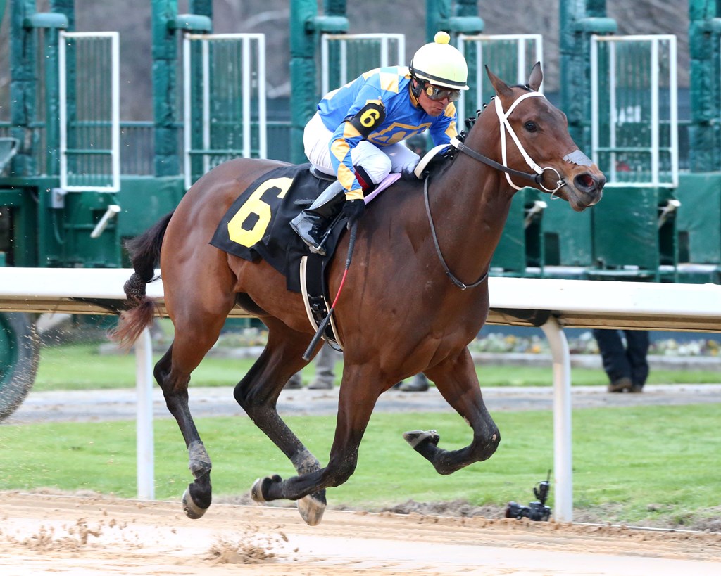 Kentucky Derby contender profile Gold Street BetAmerica Extra