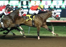 2013 Futurity Finish