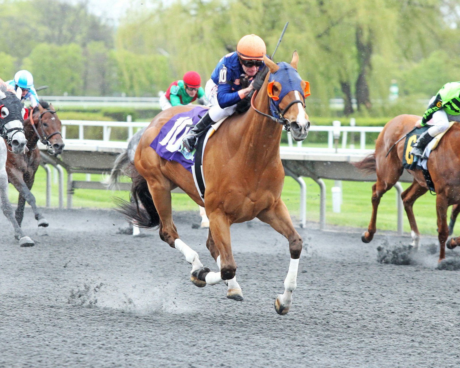 Horses To Single In Arlington S 18 359 Pick 8 Carryover The Twinspires Edge