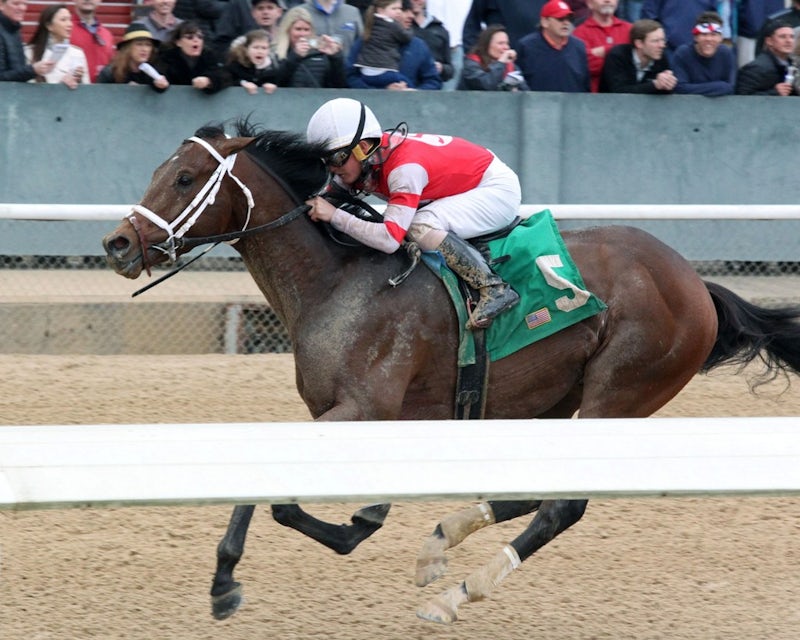 How to bet the 2019 Iowa Derby BetAmerica Extra