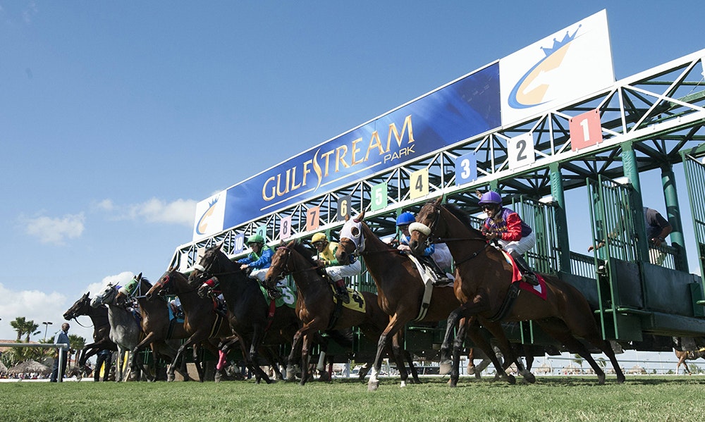 Check Out These Rich Carryovers At Gulfstream Woodbine And Arlington The Twinspires Edge Check Out These Rich Carryovers At Gulfstream Woodbine And Arlington The Twinspires Edge