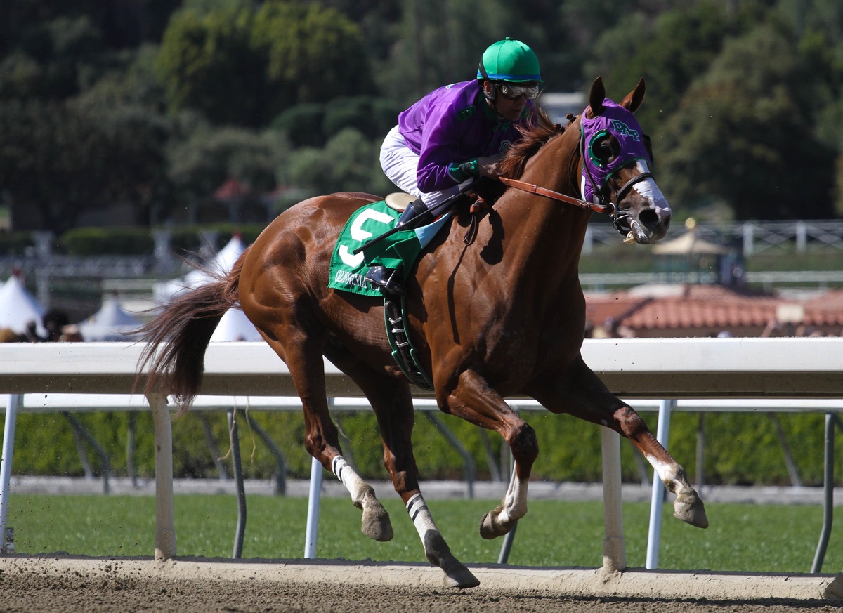 Secrets to California Chrome's Success | TwinSpires