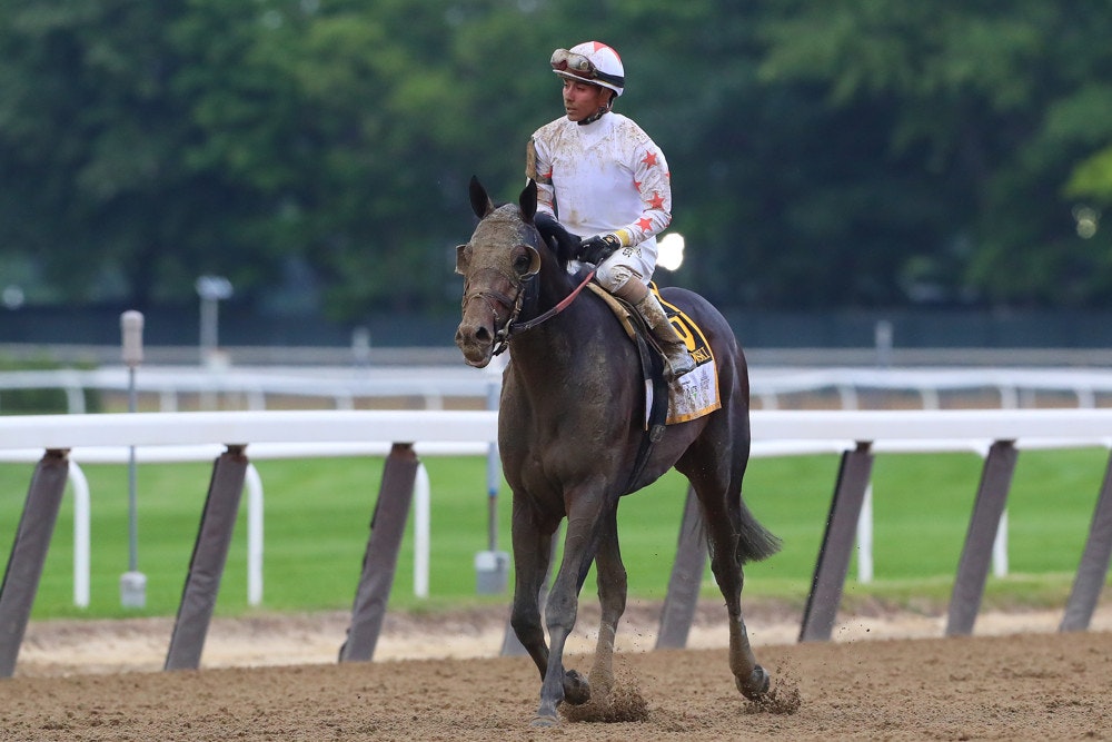 NFL coaches and players with horse racing connections The TwinSpires Edge