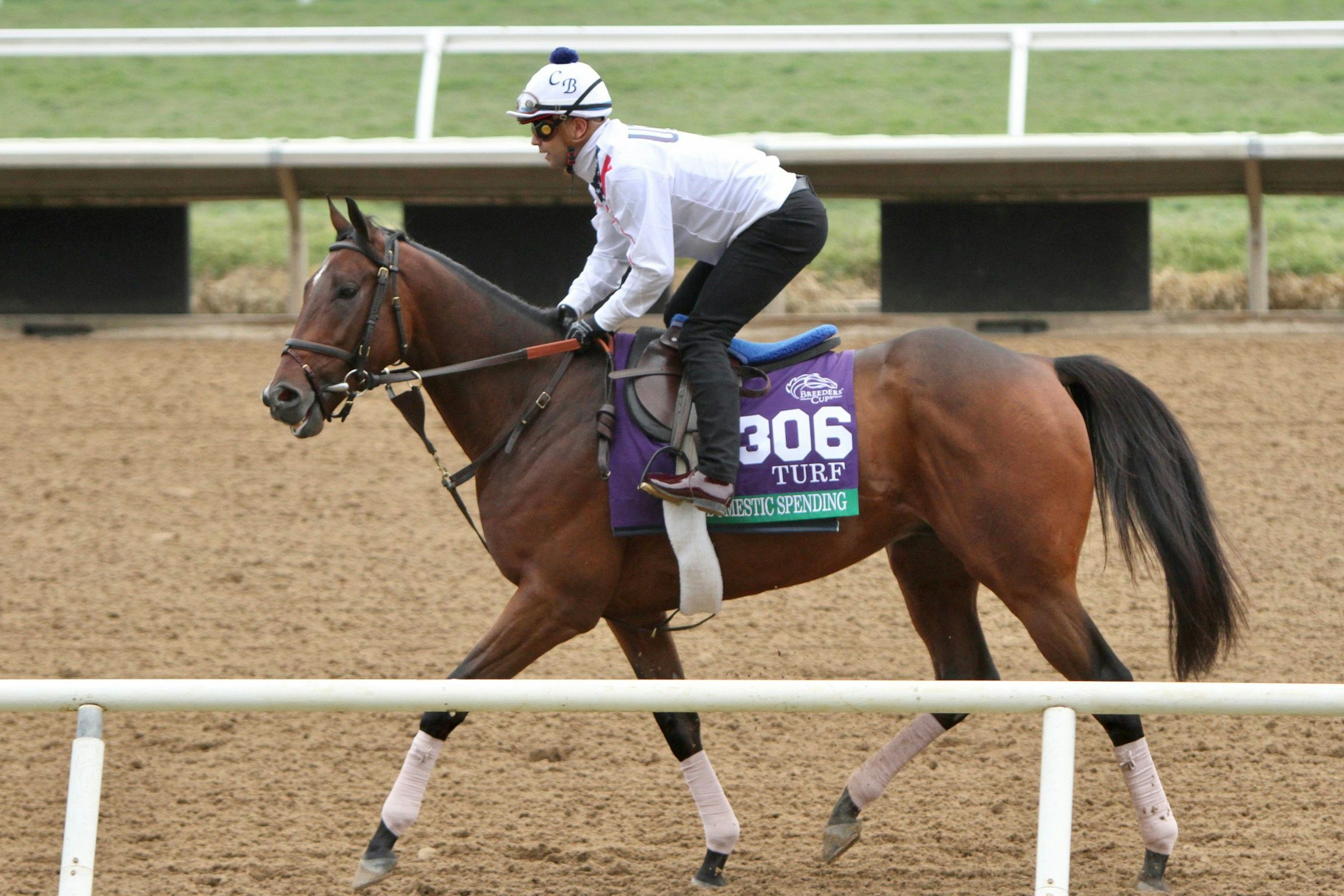 Tipsheet Breeders' Cup Turf 2021 The TwinSpires Edge