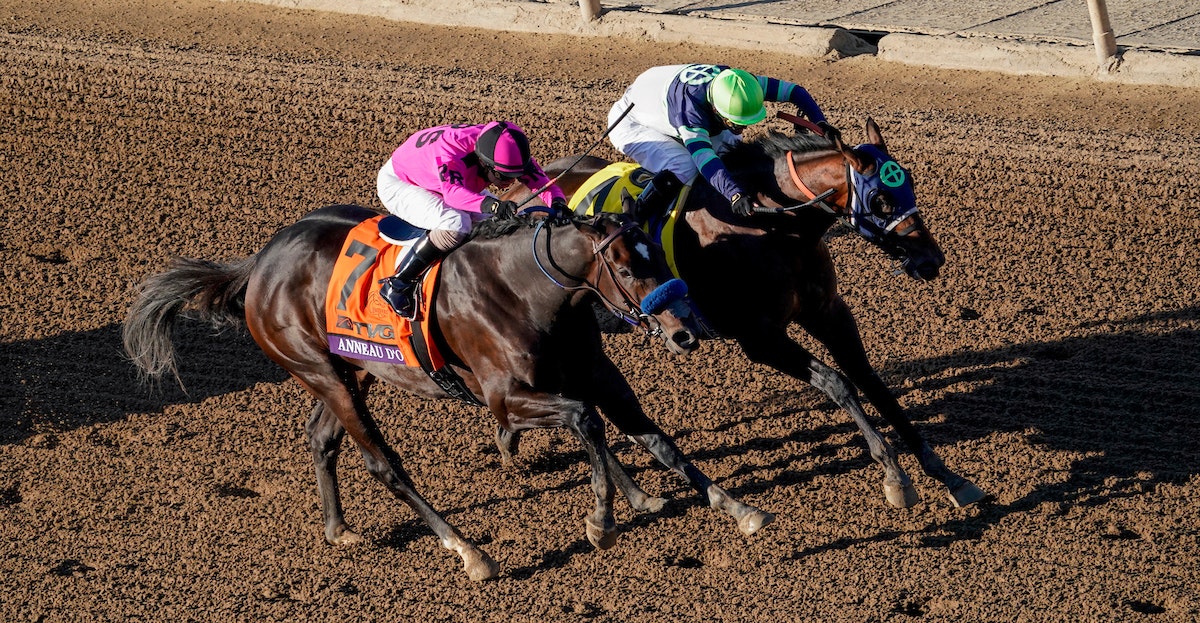Rating the first round of 2020 Kentucky Derby prep races The