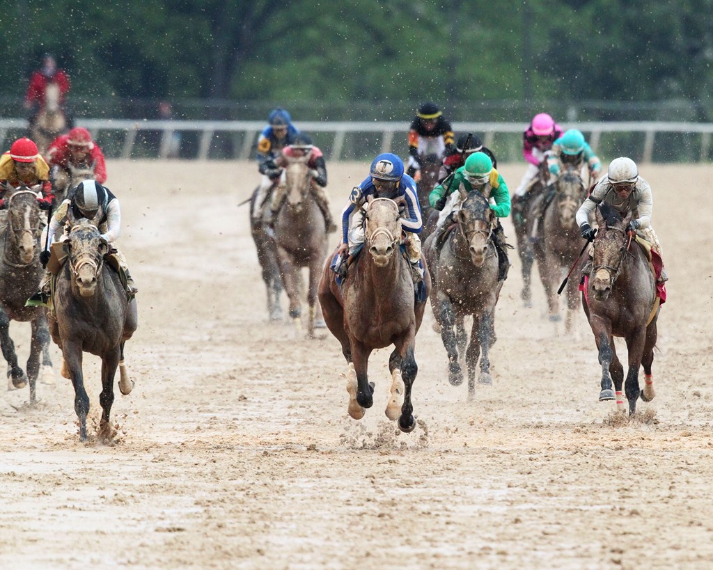 The Derby Decimal Classifications | BetAmerica Extra