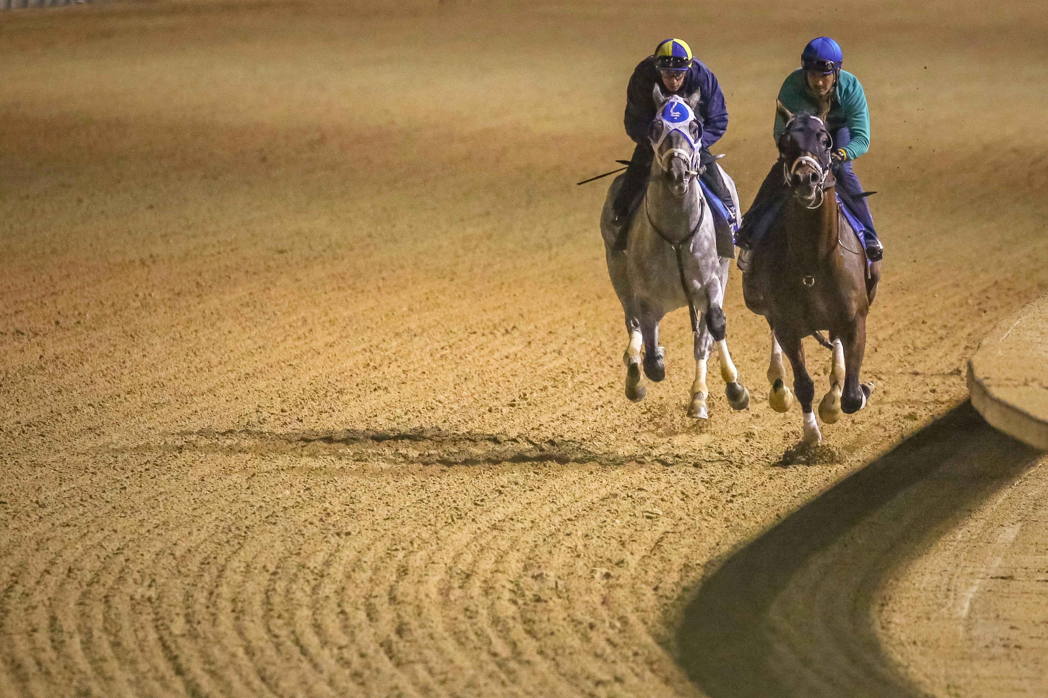2021-breeders-cup-entries-official-morning-line-odds-the
