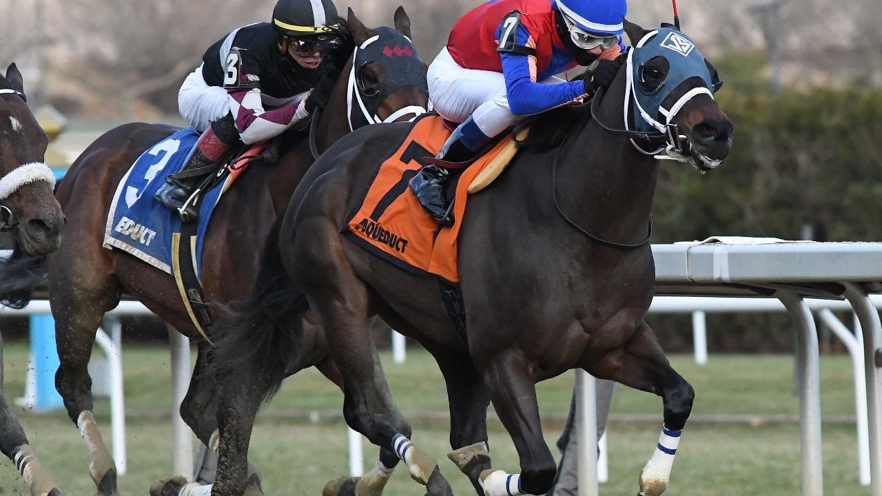 Betamerica Betamerica