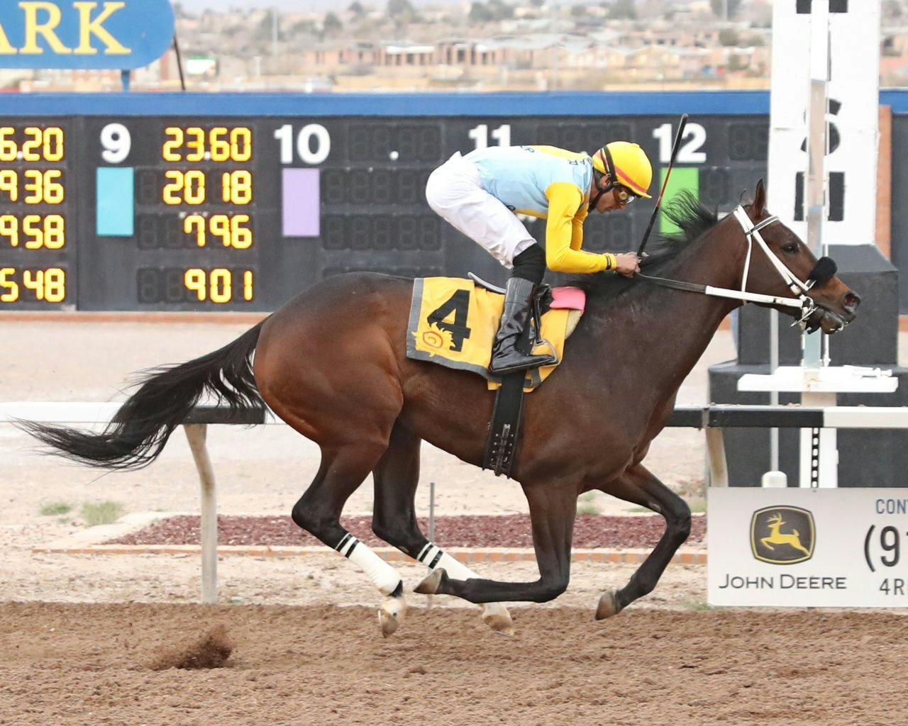 Meet the Contenders 2023 Sunland Park Derby The TwinSpires Edge