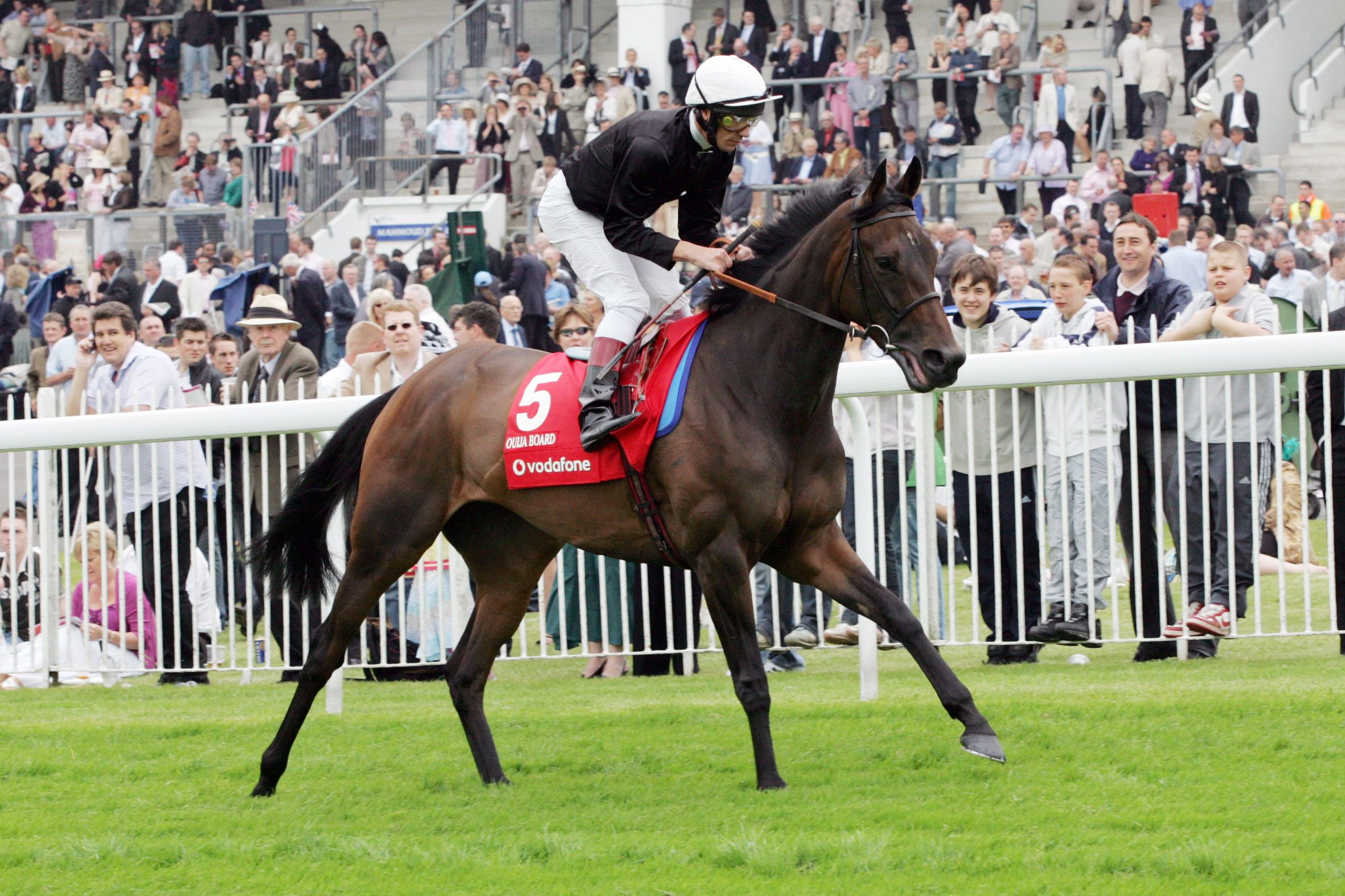 Pedigree notebook Frankel's son Cracksman, venerable family make Ace