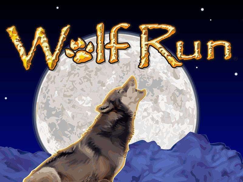 Wolf Run slot machine review, strategy and bonus to play online | The TwinSpires Edge