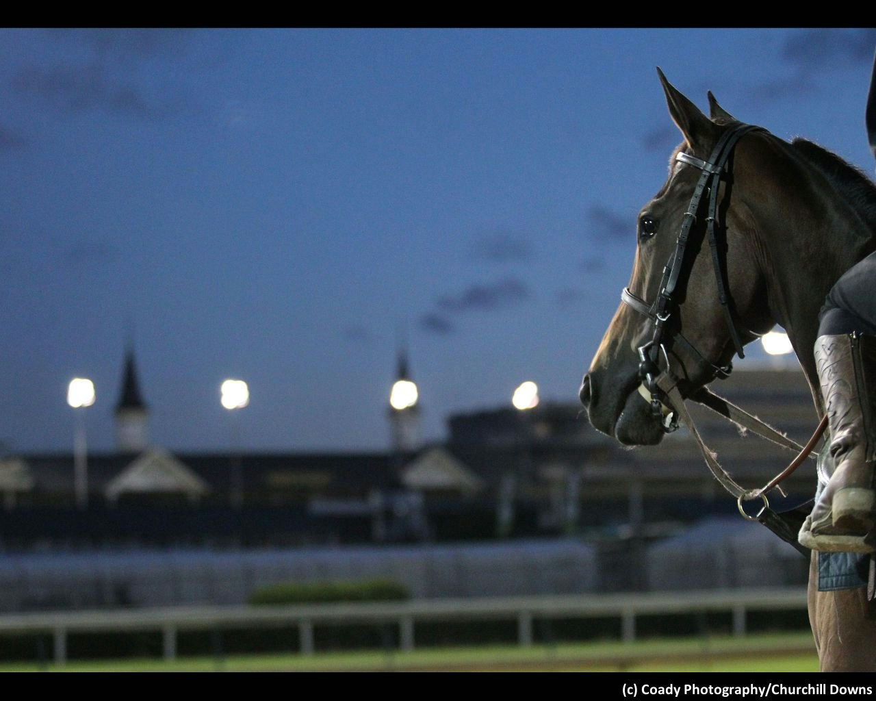 Churchill Downs fall meet handicapping preview The TwinSpires Edge