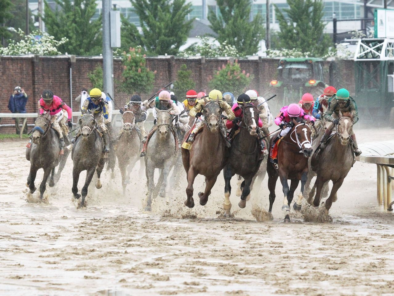 Wet track betting on horses with mud caulks mr forex