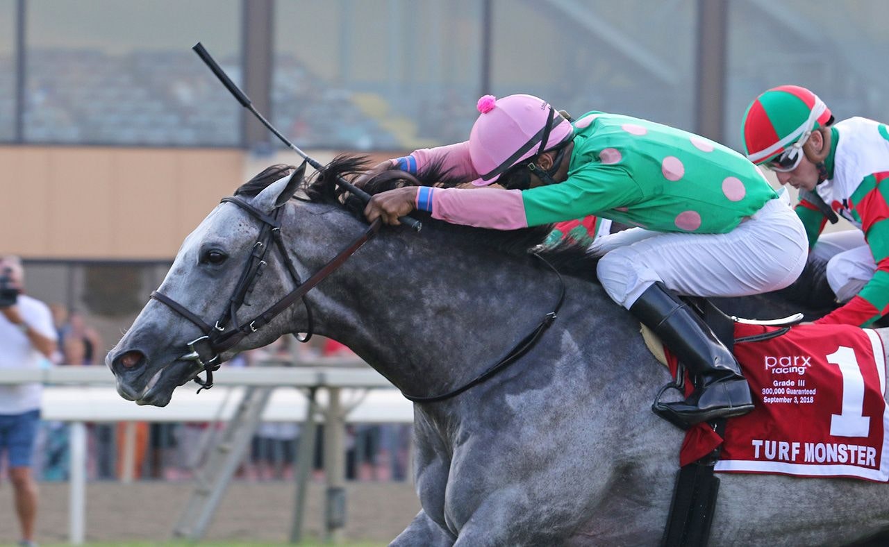 Keeler Johnson's picks and plays Oct. 18 The TwinSpires Edge