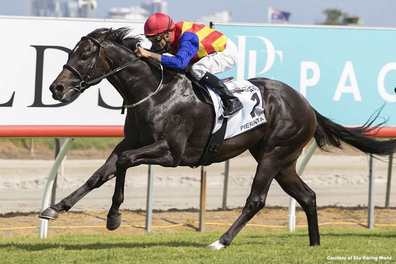 track records horse racing australia betting