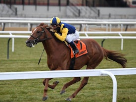 Sadler's Joy (Coglianese Photos/Joe Labozzetta)