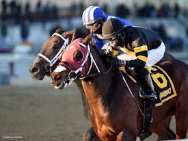 Coglianese Photos/Chelsea Durand