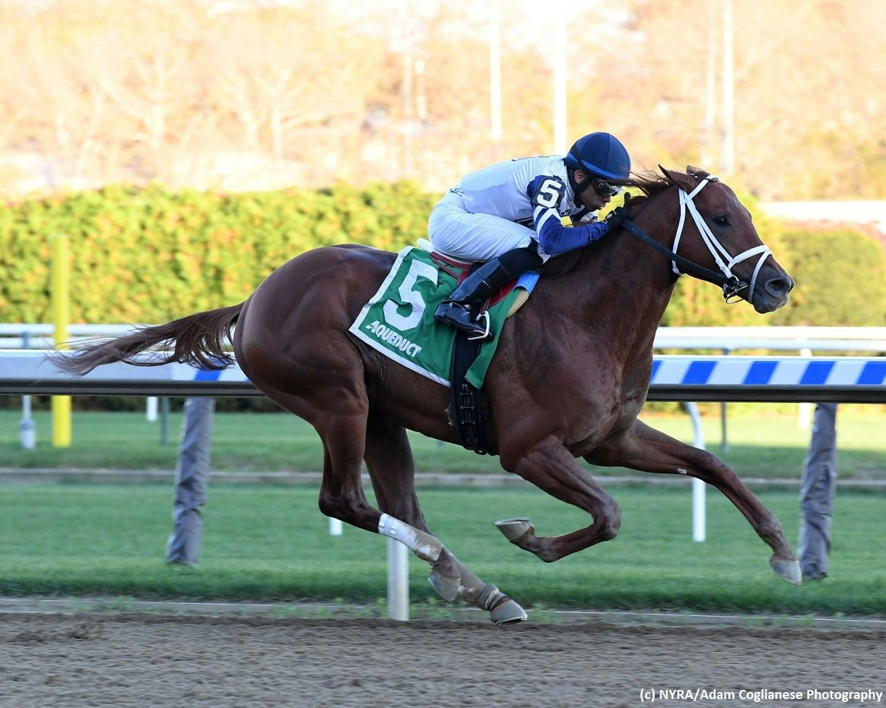 Horses of interest in Kentucky Derby Future Wager Pool 2 The