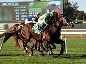 Arklow (Coglianese Photos/Elsa Lorieul)