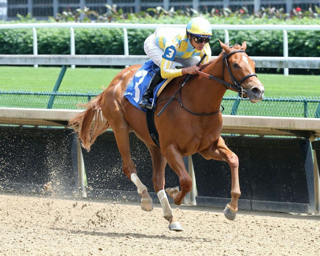 How to bet the Schuylerville Stakes The TwinSpires Edge