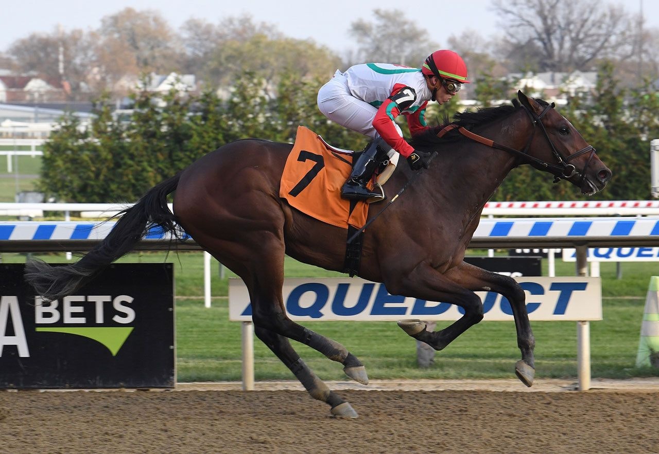 Tipsheet Fountain of Youth Stakes The TwinSpires Edge