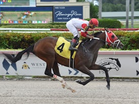 Disc Jockey (Coglianese Photos/Lauren King)