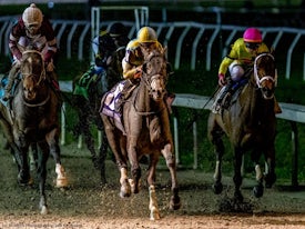 Enforceable wins the Lecomte