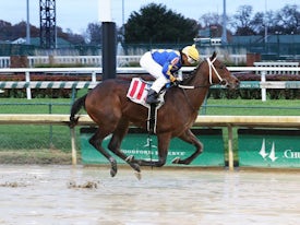 Gold Street (Coady Photo/Churchill Downs)
