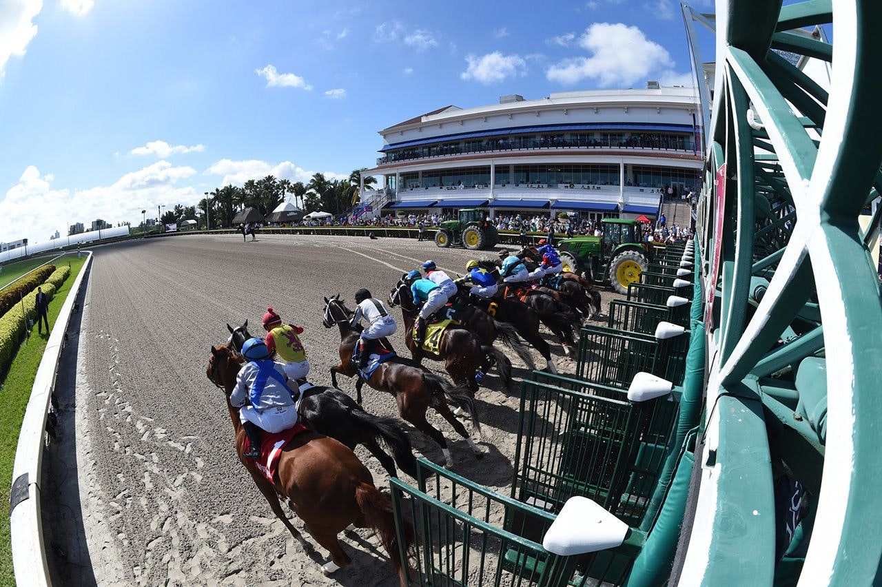 How To Bet The Mandatory Pick 6 Payouts At Gulfstream And Turfway Park The Twinspires Edge