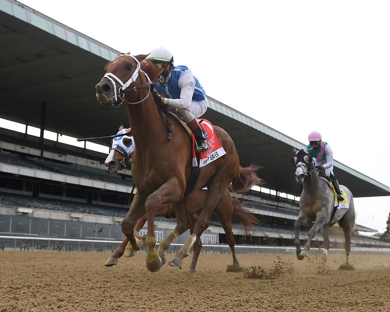 horses-of-interest-for-the-breeders-cup-future-wager-the-twinspires-edge