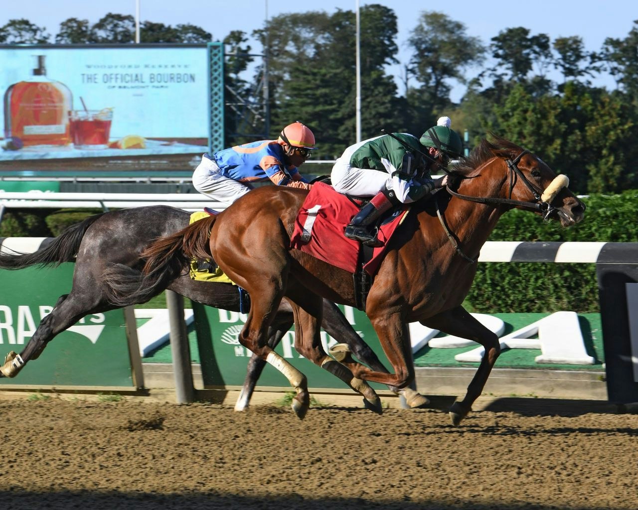 5 Tips For New Players Betting Maiden Races The Twinspires Edge
