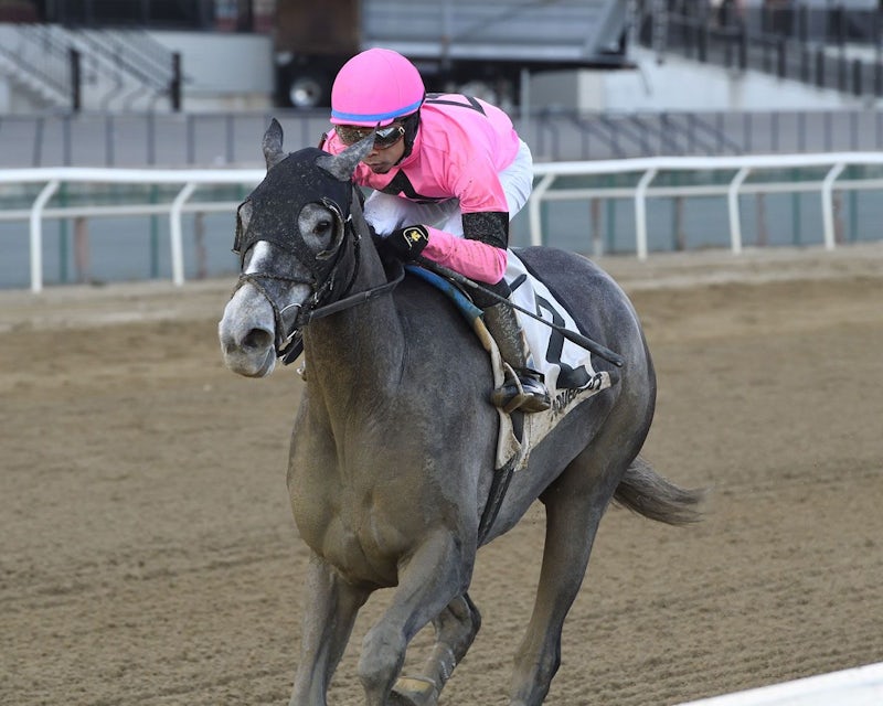 stakes selections for laurel park on dec 26 the twinspires edge