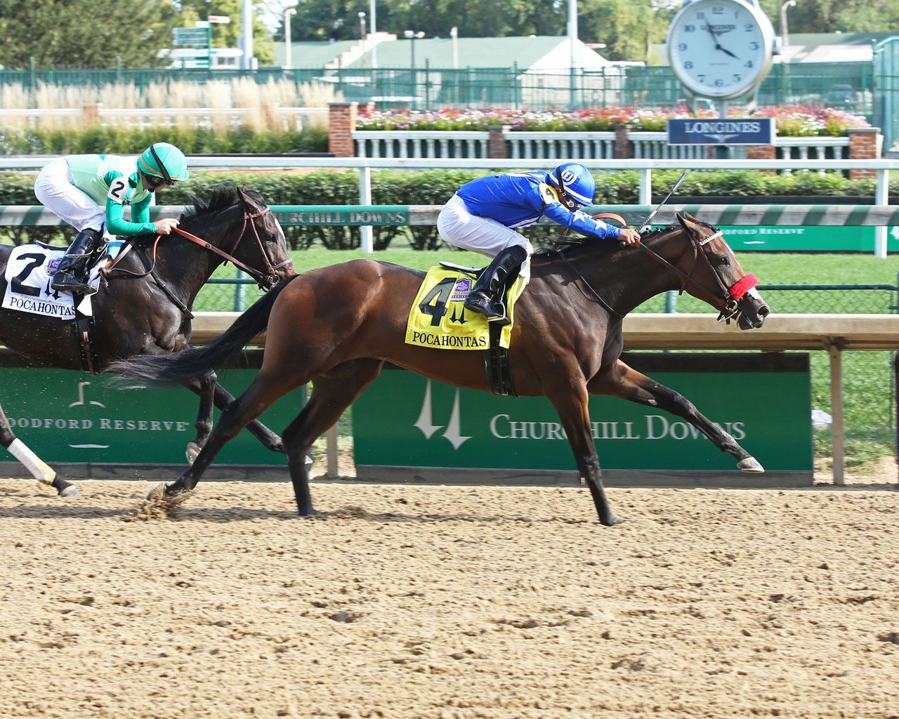 How to bet the San Clemente Stakes The TwinSpires Edge