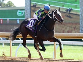 Lykan (Coady Photo/Keeneland)