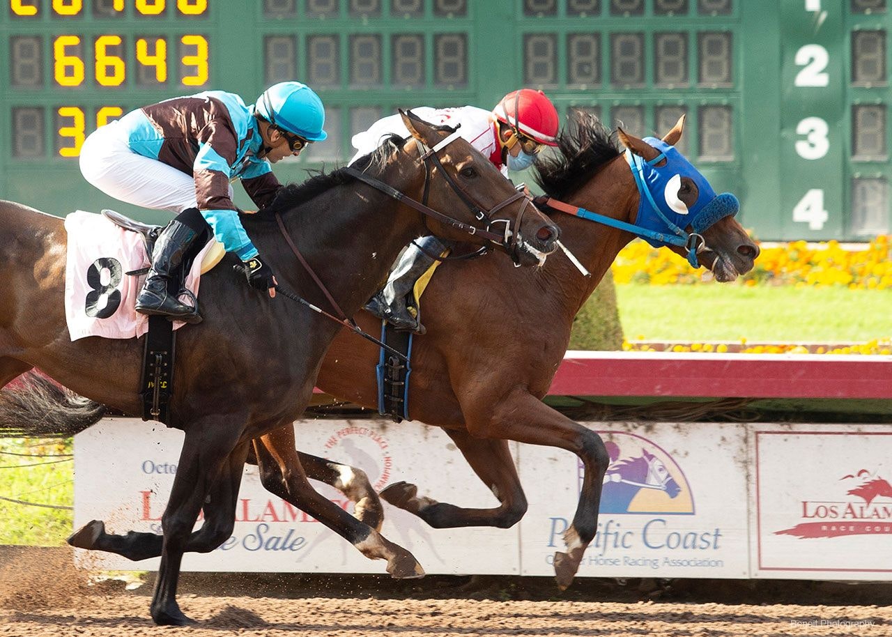 Los Alamitos Pick 6 Carryover Climbs To 423 178 For Dec 18 The Twinspires Edge Los Alamitos Pick 6 Carryover Climbs To 423 178 For Dec 18 The Twinspires Edge