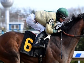 Moon Over Miami (Coglianese Photos/Viola Jasko)