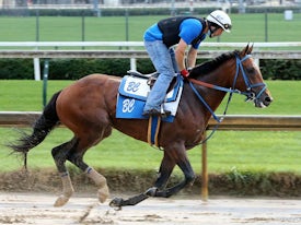 Mr Big News at Churchill Downs (Coady Photo/Churchill Downs)