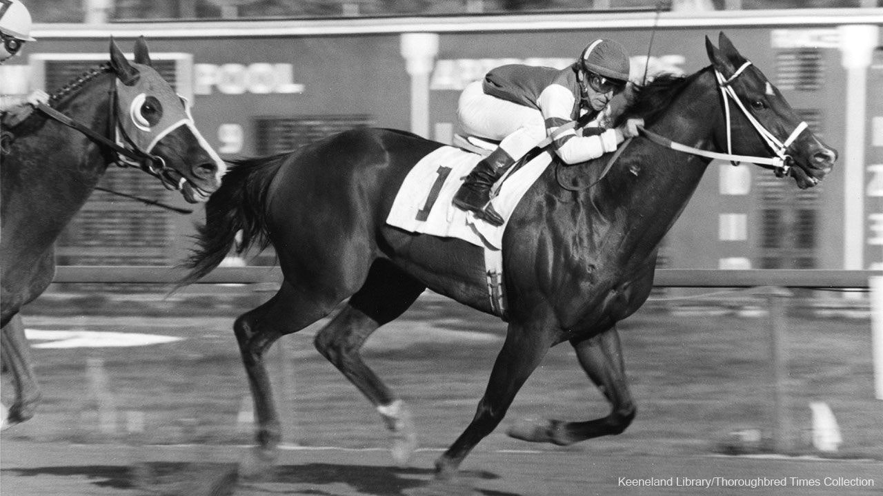Lost History Detroit Race Course's Michigan Mile The TwinSpires Edge