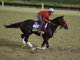 Next Shares (Coady Photography/Churchill Downs)