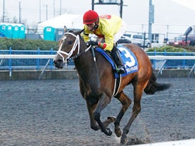 Queen of God (Coady Photo/Turfway Park)